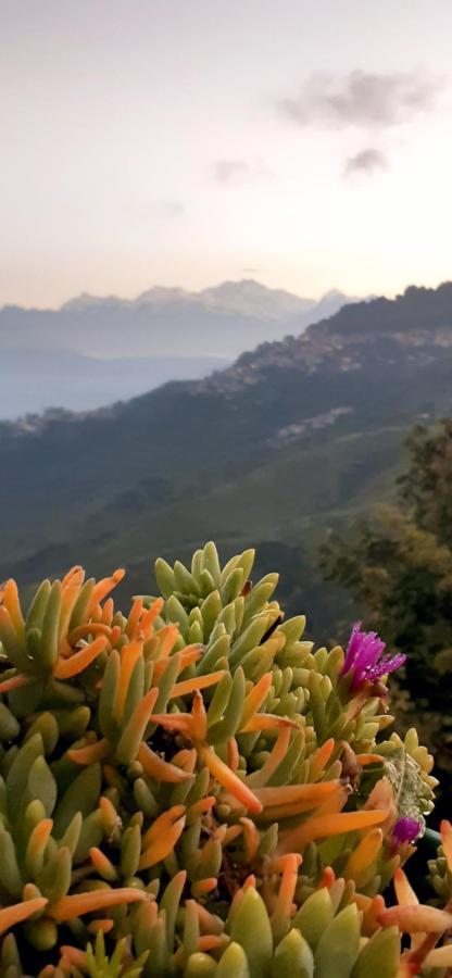 Rajbari Farms Villa Darjeeling  Bagian luar foto